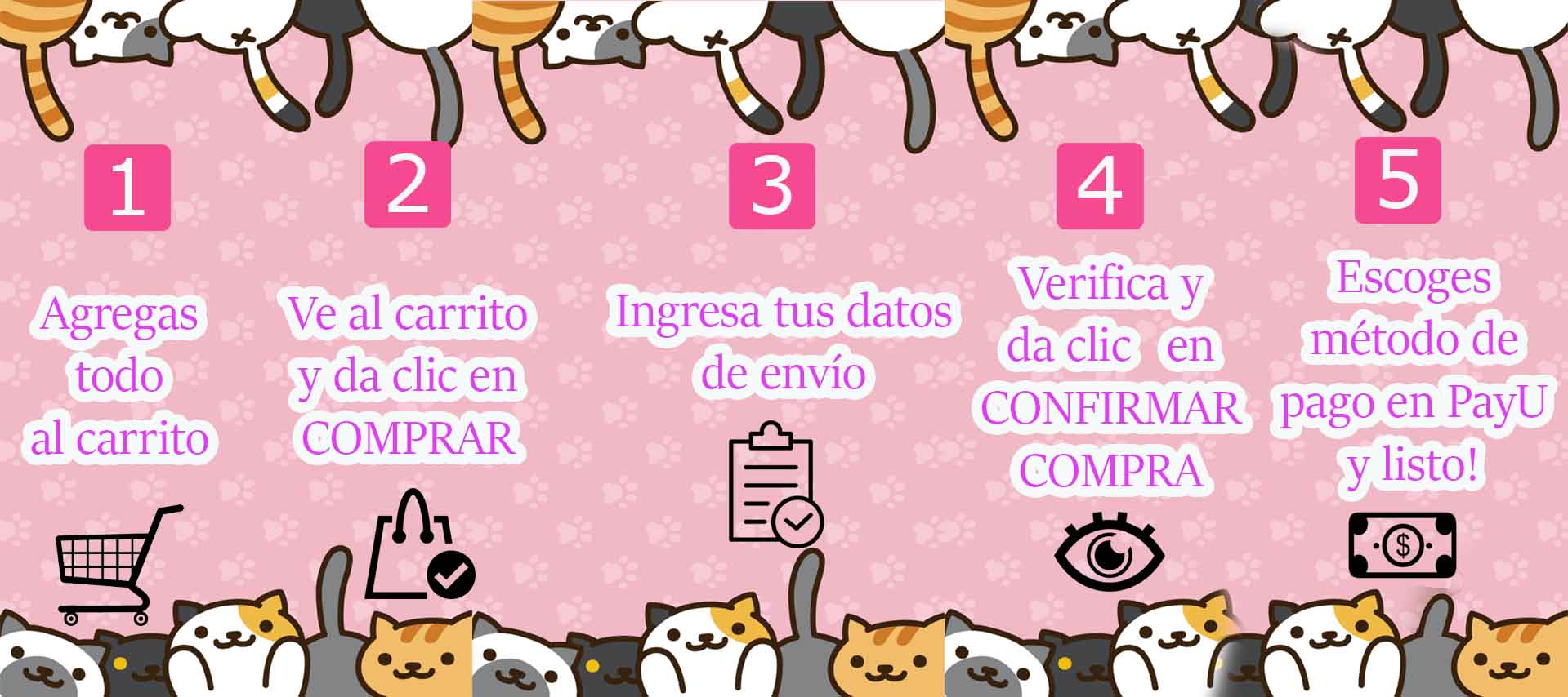 pasoscompra