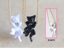 COLlar-gato-asomado-BLANCo